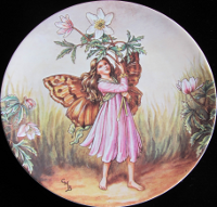 The Windflower Fairy