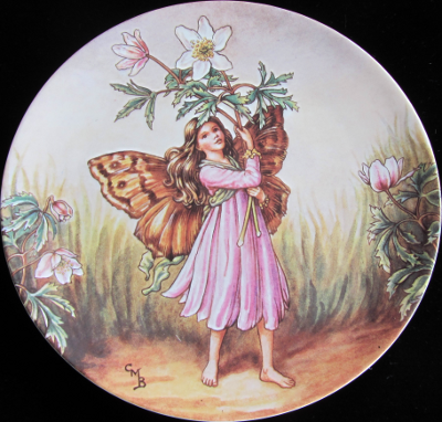 The Windflower Fairy