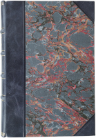 Юлиус Швальбе. Основы практической медицины